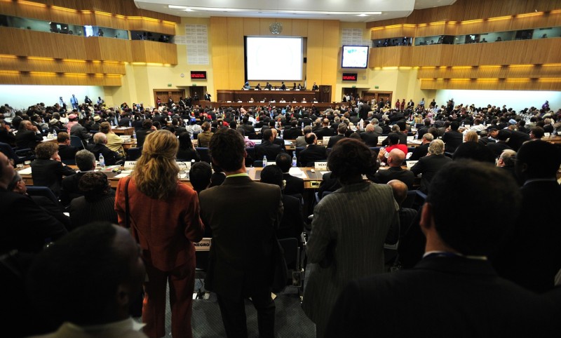 konference